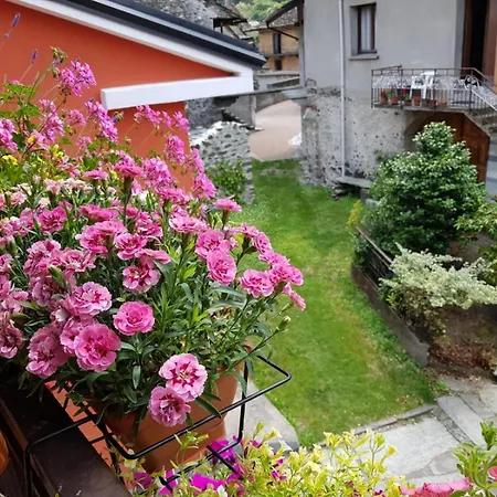 Alexandra Megolo di Mezzo