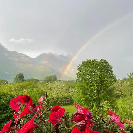 Daire Alexandra Megolo di Mezzo